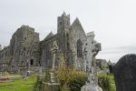 PICTURES/Ennis Friary & Quinn Friary/t_DSC04744.JPG